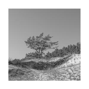 三级黄色网络视频
